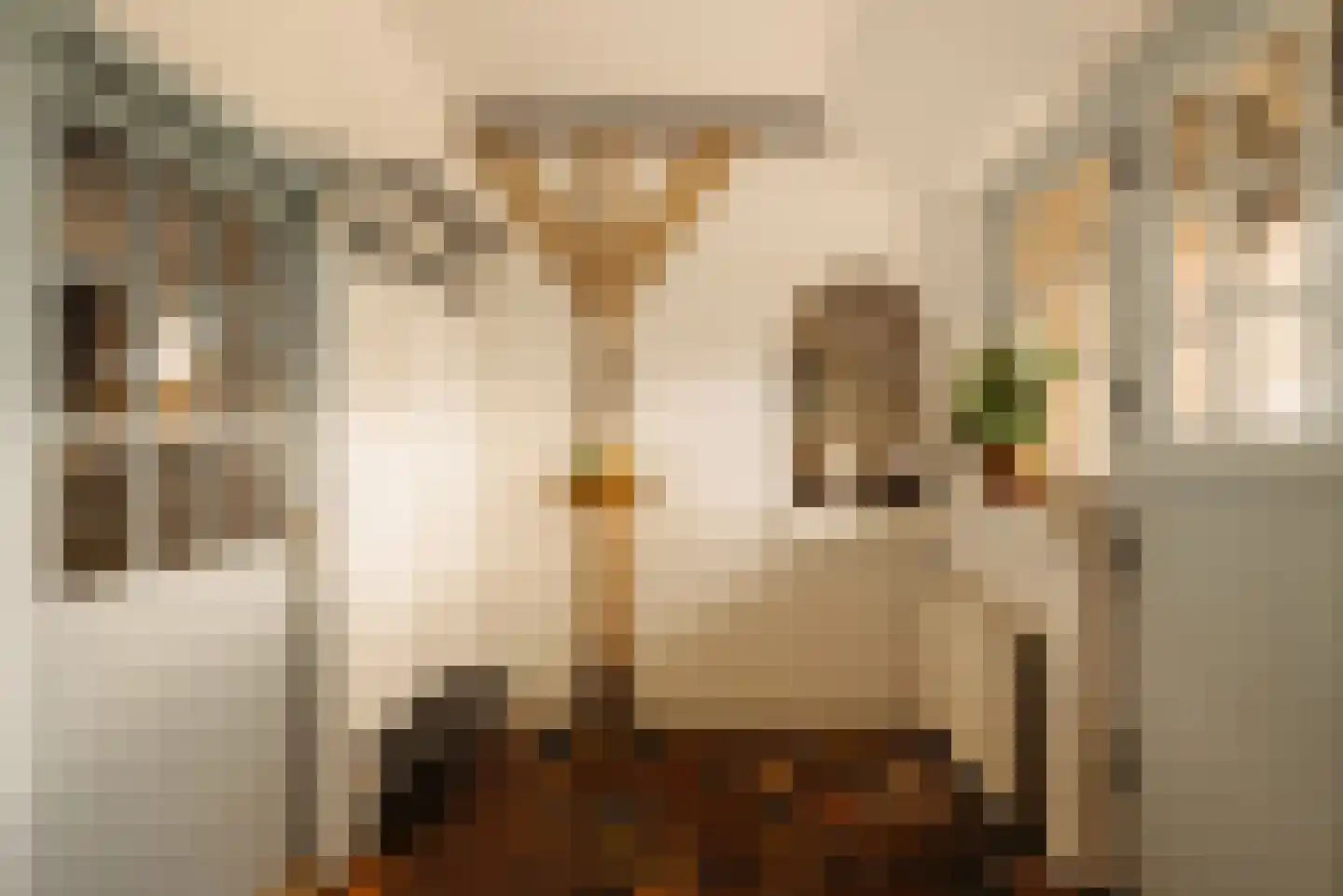 Winkeldijk 43 Abcoude thumbnail 5