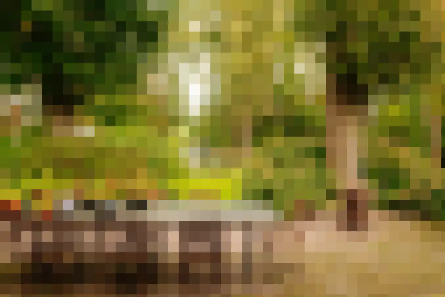 Winkeldijk 43 Abcoude thumbnail 8