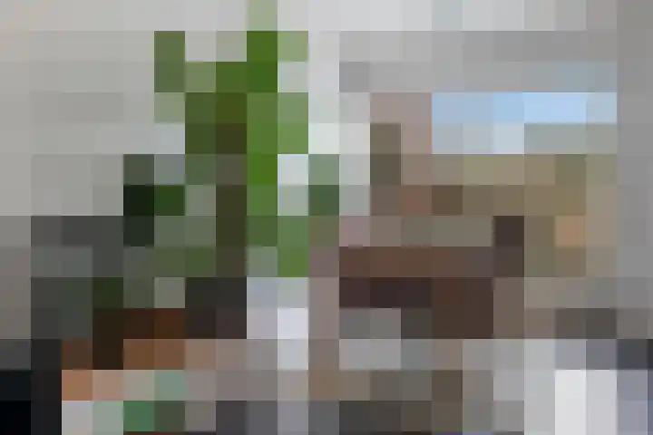 Winkelhoek 4 Hoogezand thumbnail 10