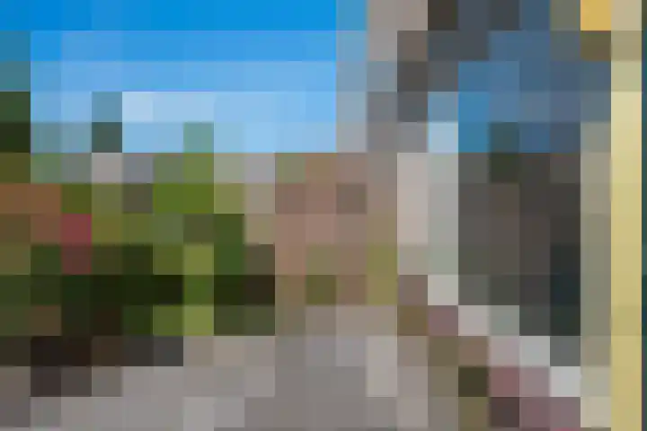 Winkelhoeve 16 Vlaardingen thumbnail 17