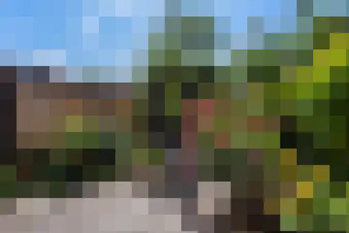Winkelhoeve 16 Vlaardingen thumbnail 19