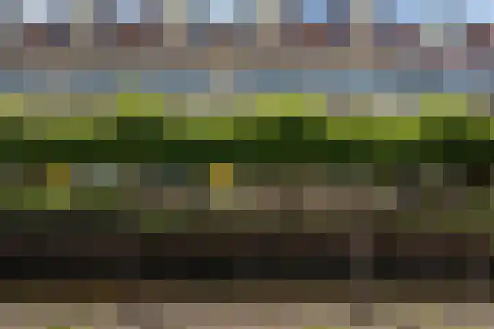 Winkelhoeve 16 Vlaardingen thumbnail 33