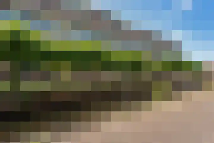 Winkelhoeve 16 Vlaardingen thumbnail 34