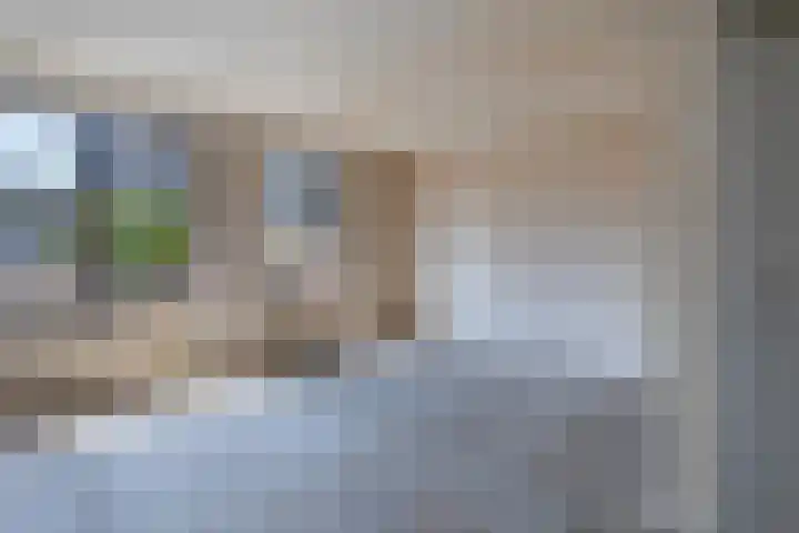 Winkelhoeve 16 Vlaardingen thumbnail 4