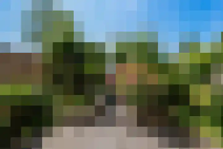 Winkelhoeve 16 Vlaardingen thumbnail 6