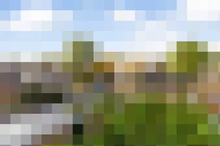Winkelhoeve 30 Vlaardingen thumbnail 10
