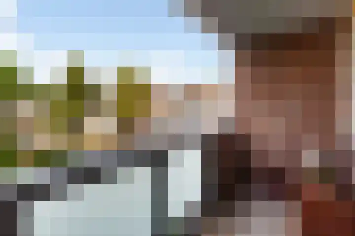 Winkelhoeve 30 Vlaardingen thumbnail 12