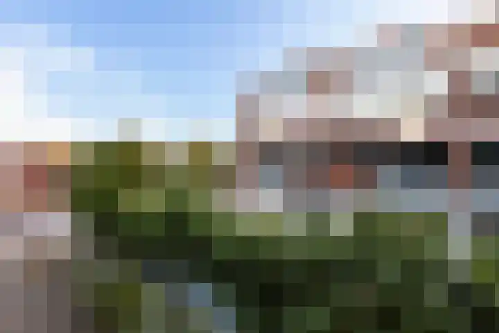 Winkelhoeve 30 Vlaardingen thumbnail 36