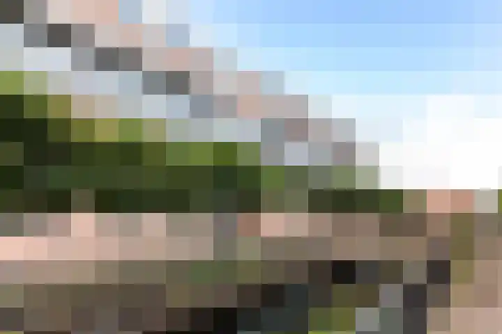 Winkelhoeve 30 Vlaardingen thumbnail 37