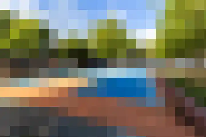 Winkelhoeve 30 Vlaardingen thumbnail 38