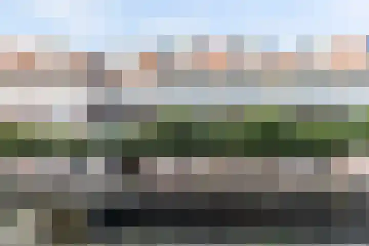Winkelhoeve 30 Vlaardingen thumbnail 4