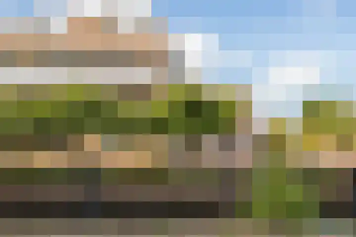 Winkelhoeve 32 Vlaardingen