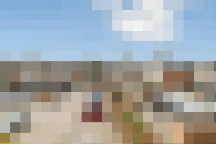 Winkelhoeve 36 Vlaardingen thumbnail 12