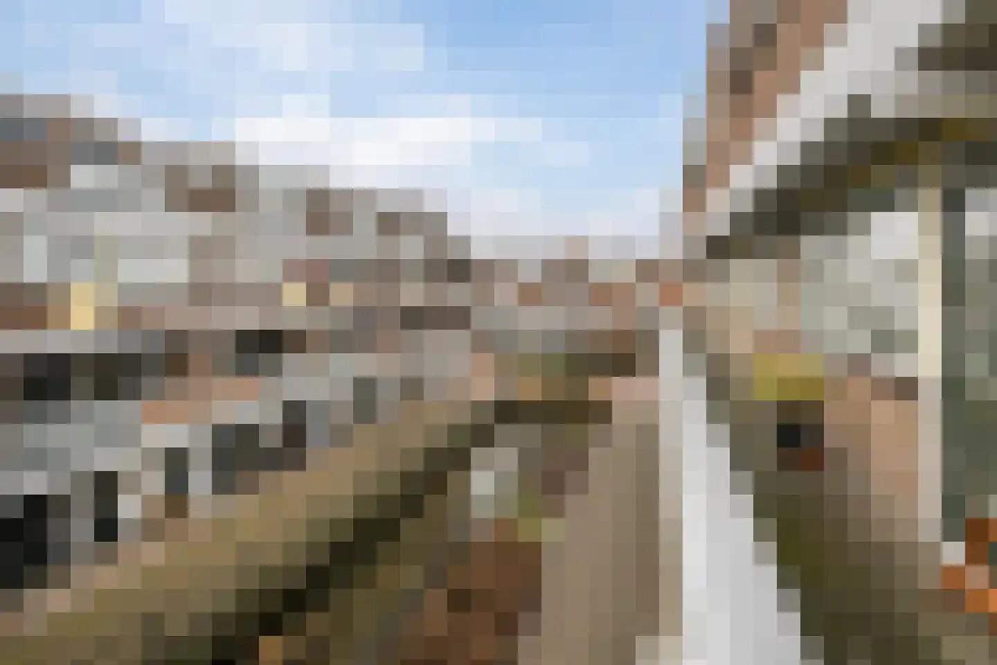 Winkelhoeve 44 Vlaardingen thumbnail 10