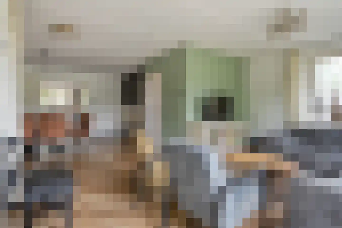 Winkelkamp 19 Dalfsen thumbnail 10