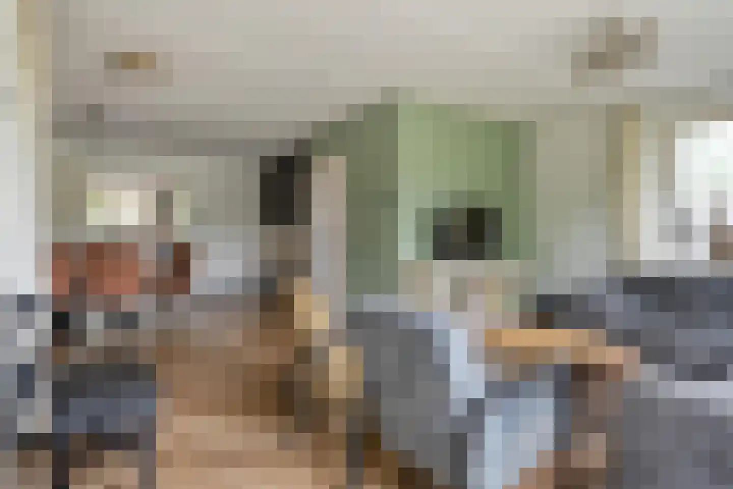 Winkelkamp 19 Dalfsen thumbnail 10