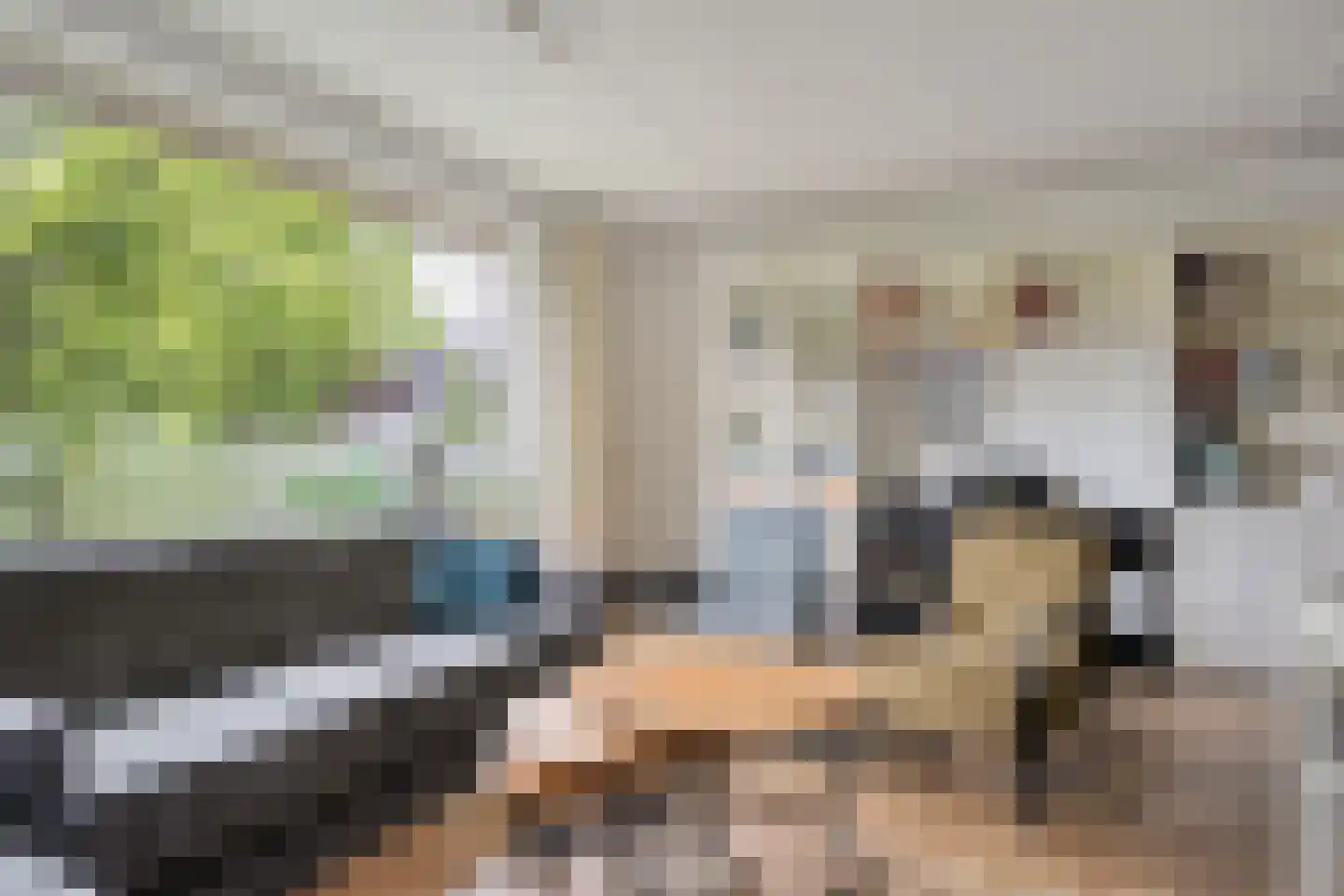 Winkelkamp 19 Dalfsen thumbnail 11