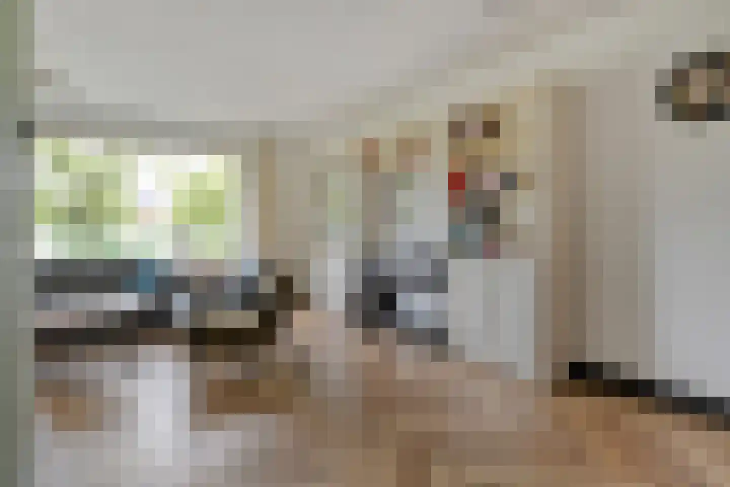 Winkelkamp 19 Dalfsen thumbnail 13