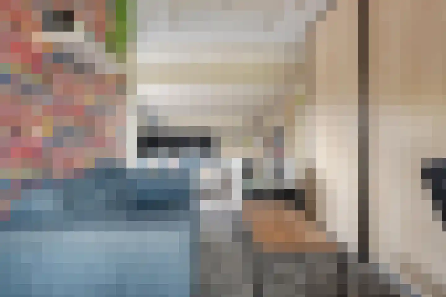 Winkelkamp 19 Dalfsen thumbnail 27