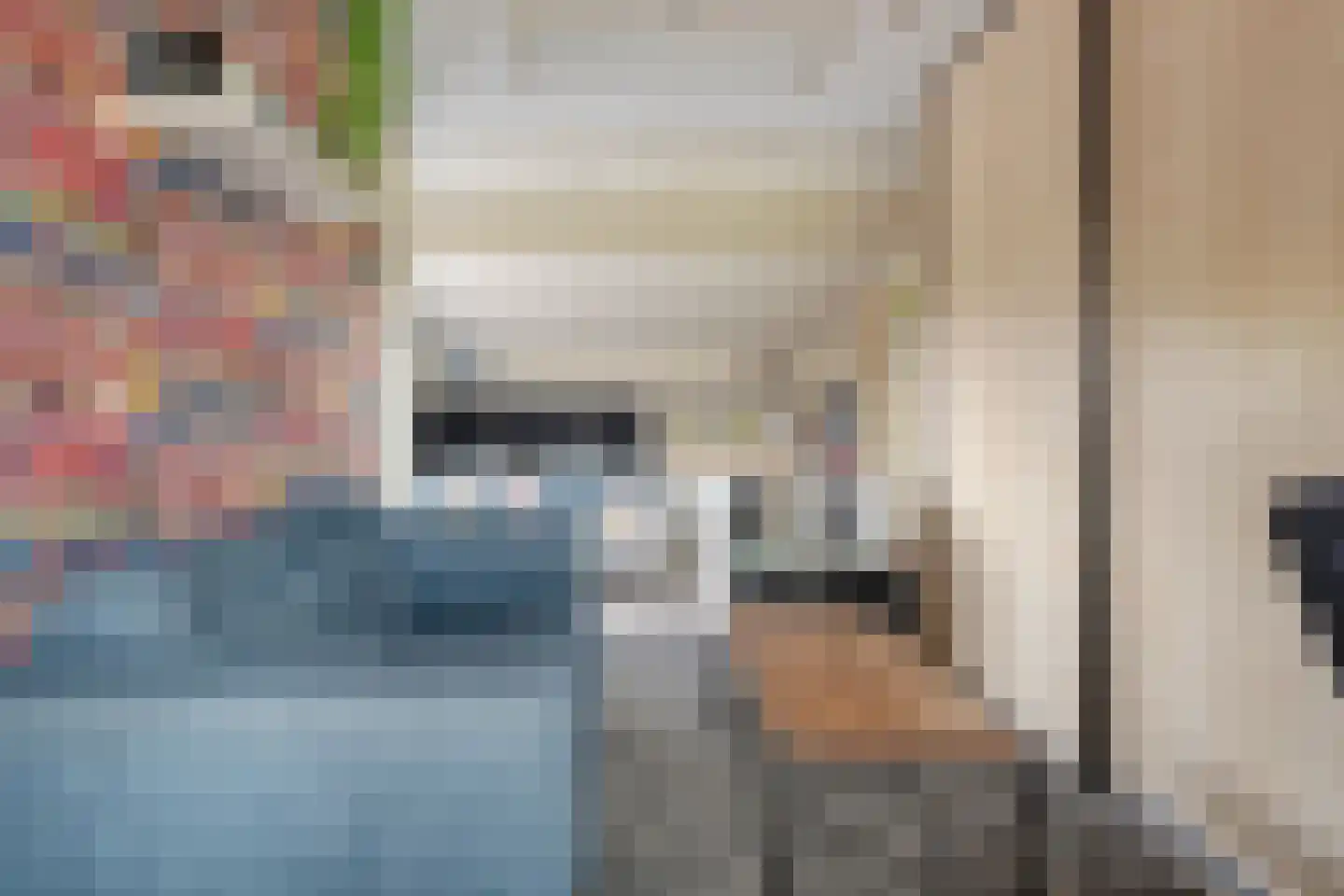 Winkelkamp 19 Dalfsen thumbnail 27