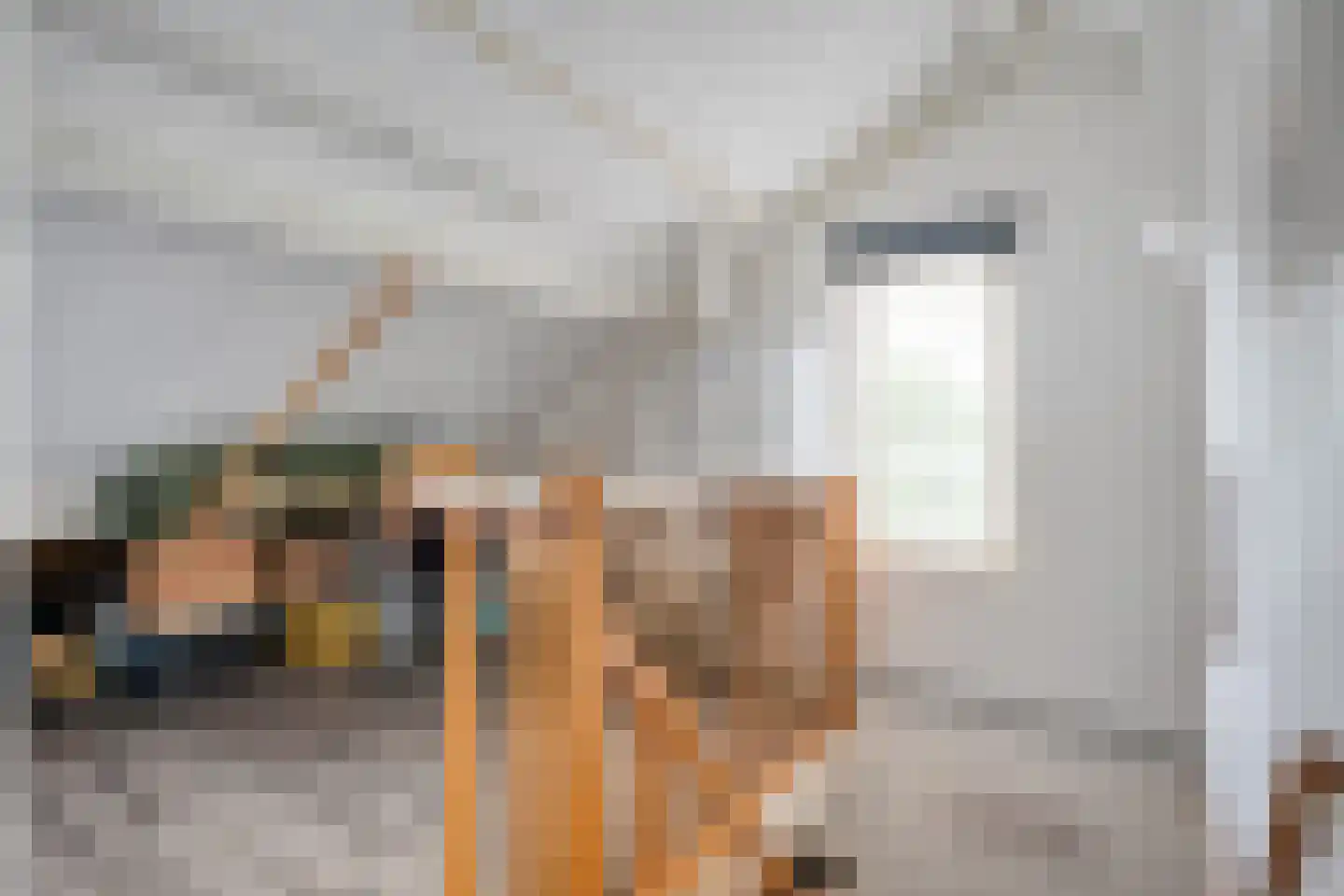 Winkelkamp 19 Dalfsen thumbnail 39