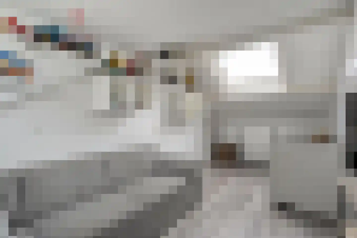 Winkelkamp 19 Dalfsen thumbnail 41
