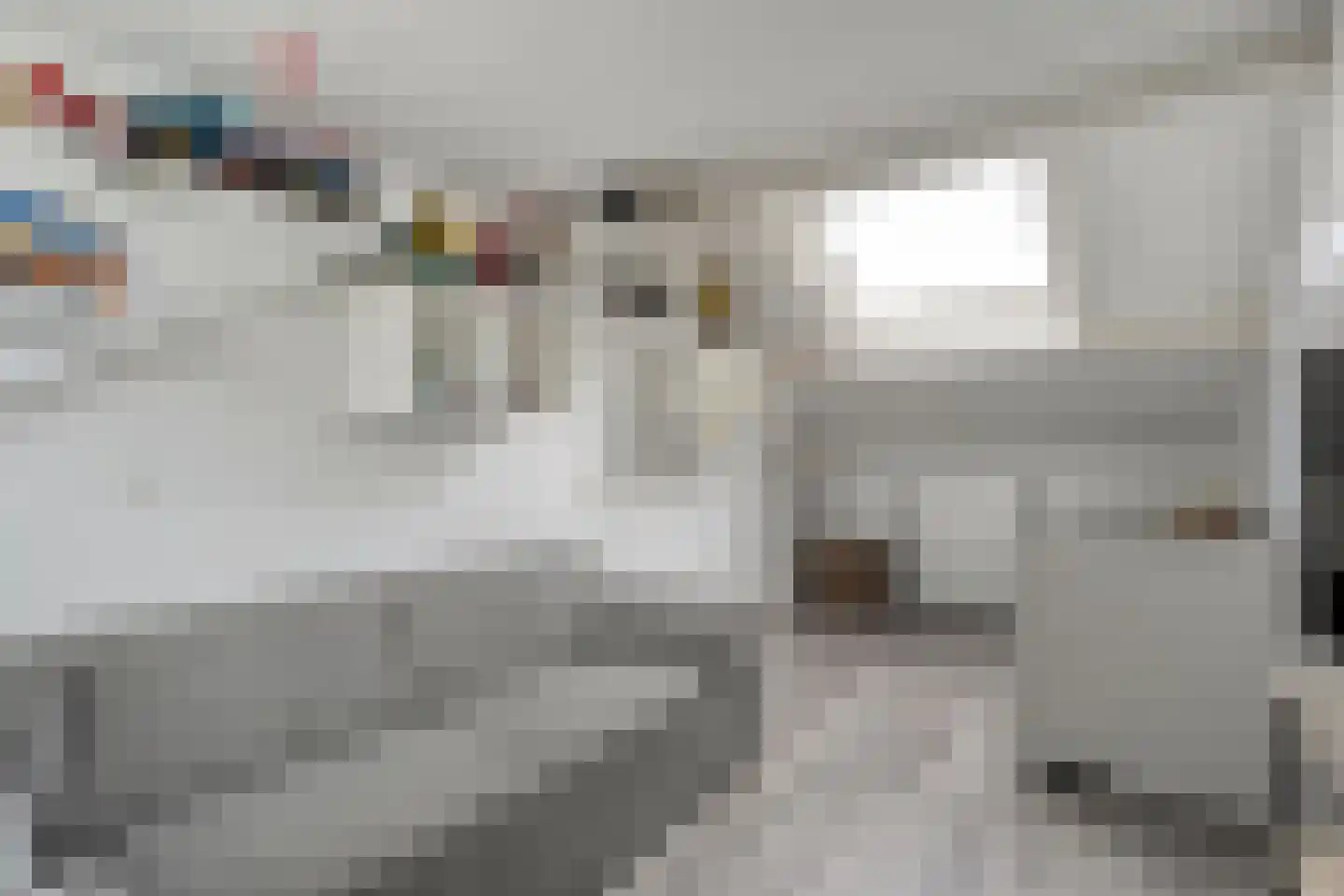 Winkelkamp 19 Dalfsen thumbnail 41