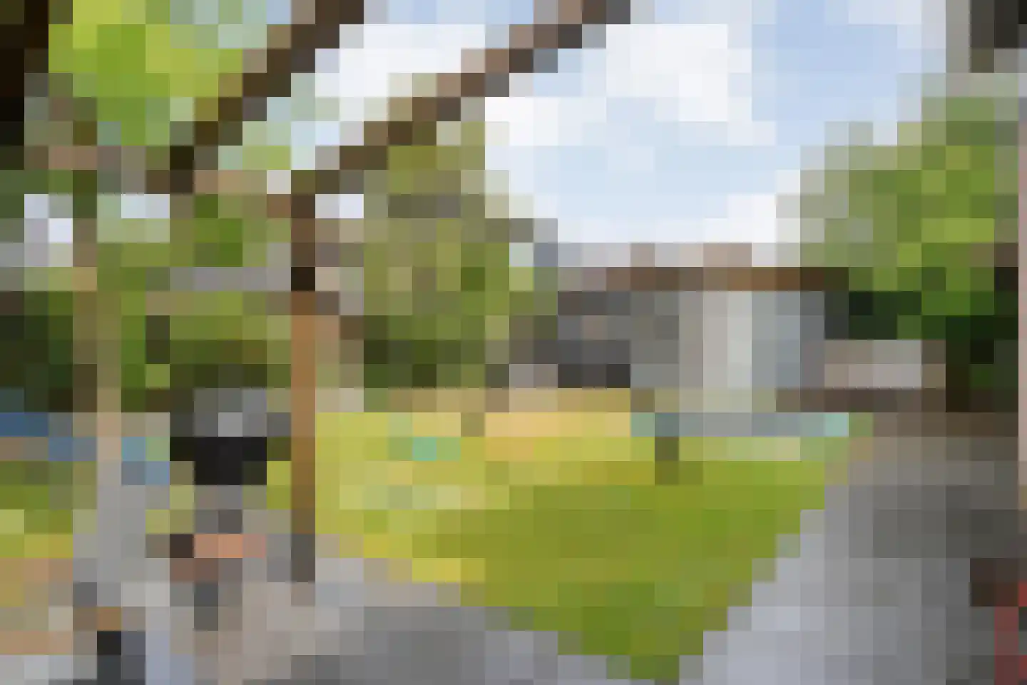 Winkelkamp 19 Dalfsen thumbnail 43