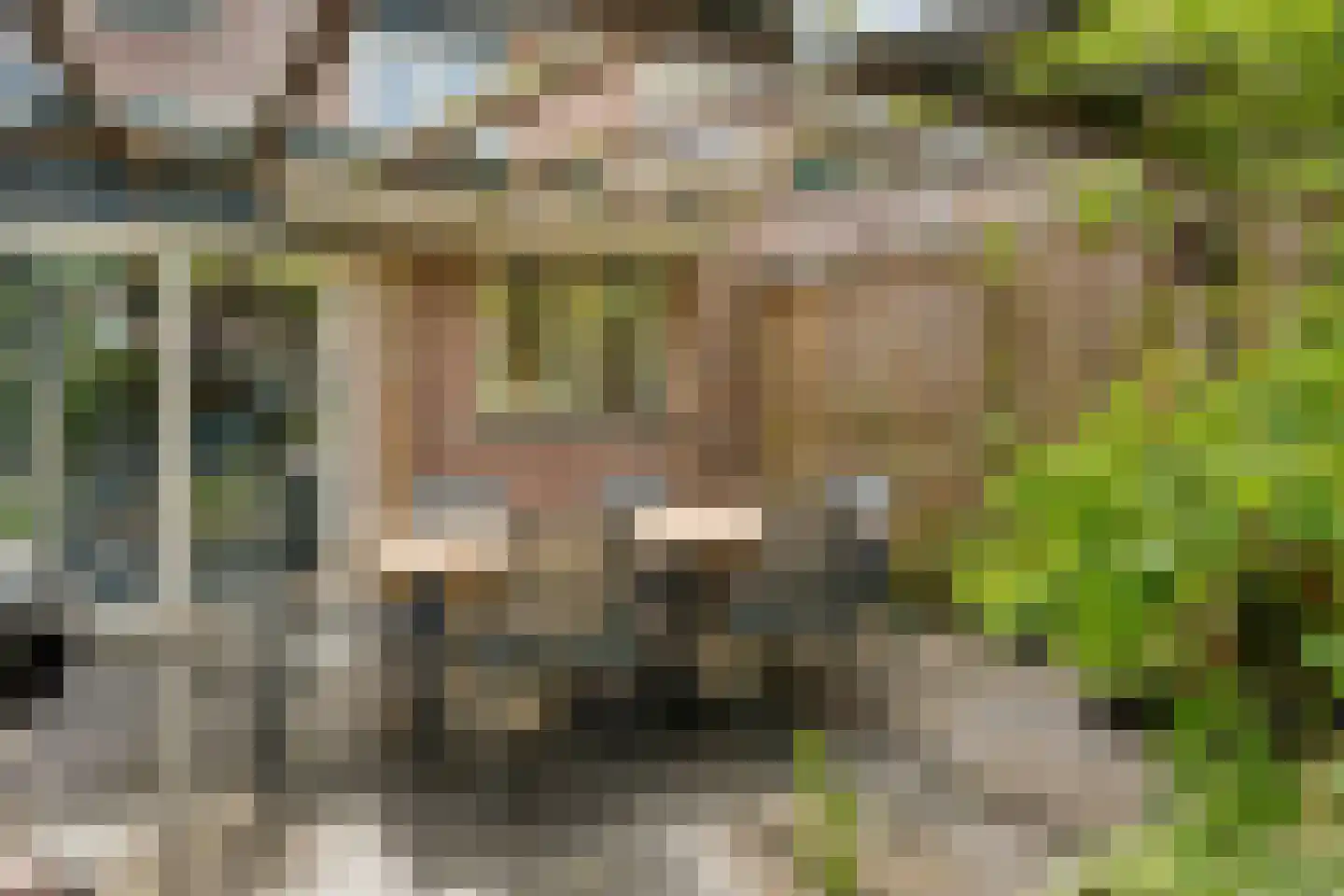 Winkelkamp 19 Dalfsen thumbnail 44