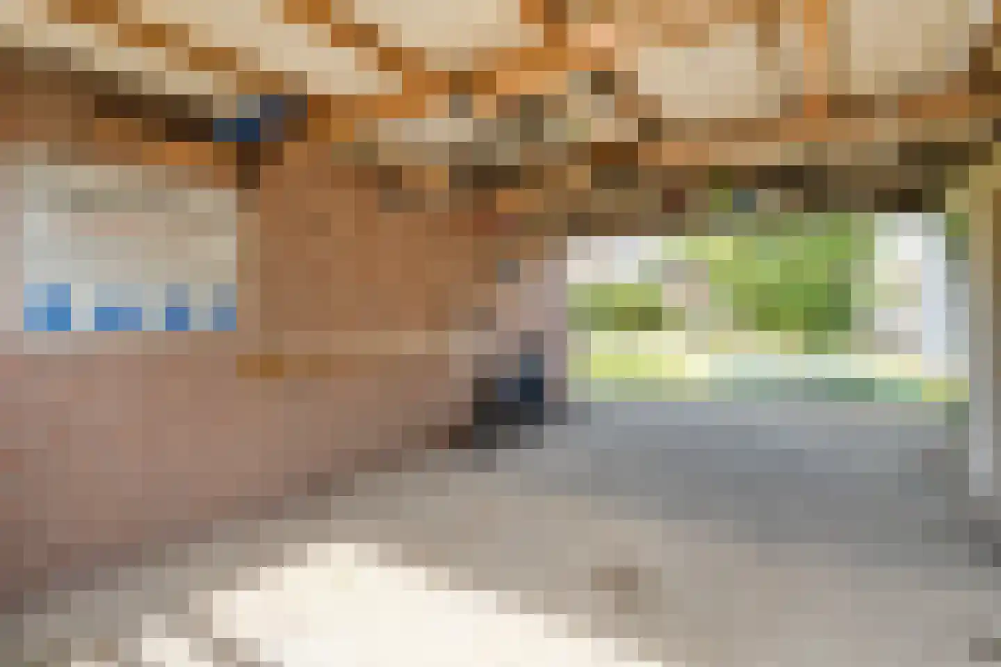 Winkelkamp 19 Dalfsen thumbnail 50