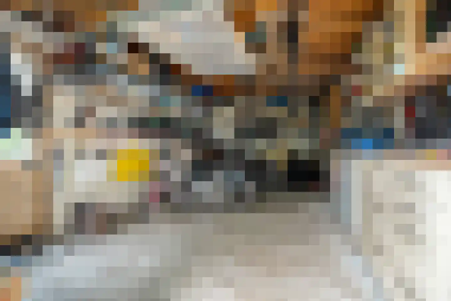 Winkelkamp 19 Dalfsen thumbnail 51