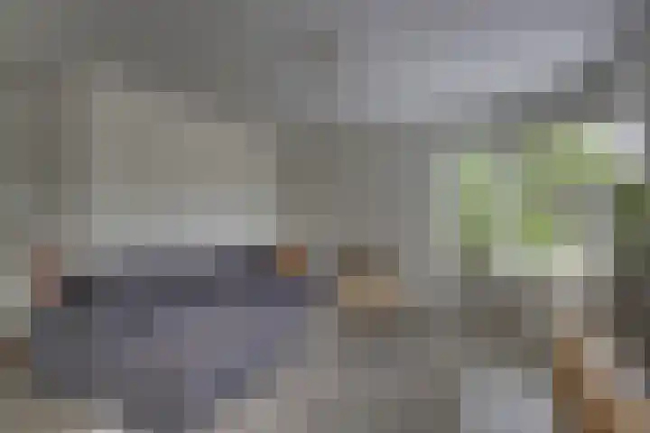 Winkelkamp 21 Dalfsen thumbnail 10