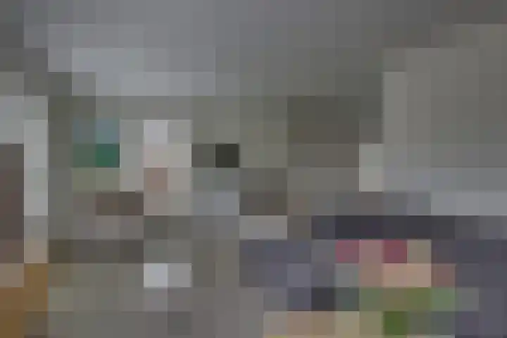 Winkelkamp 21 Dalfsen thumbnail 11