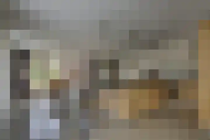 Winkelkamp 21 Dalfsen thumbnail 15