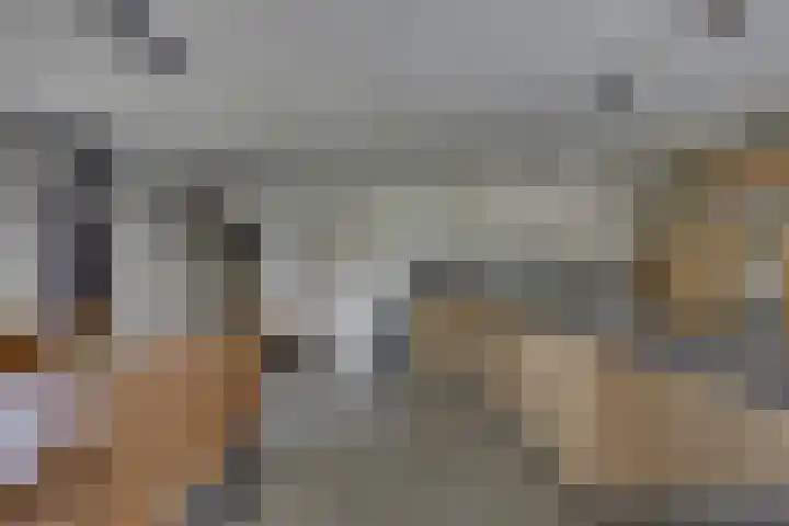 Winkelkamp 21 Dalfsen thumbnail 16