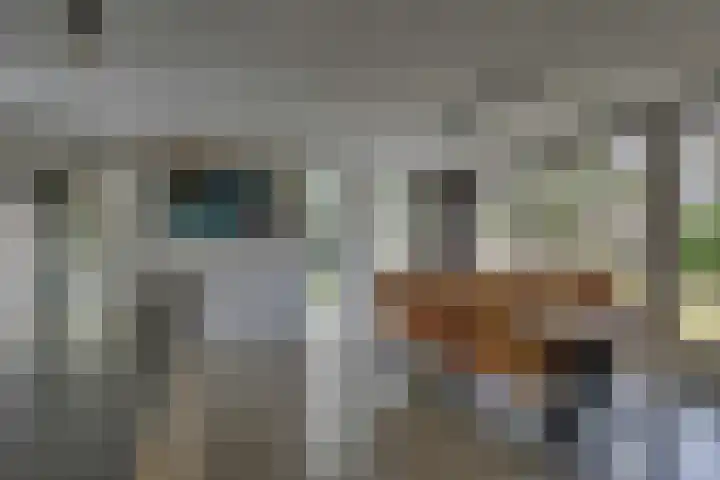 Winkelkamp 21 Dalfsen thumbnail 18