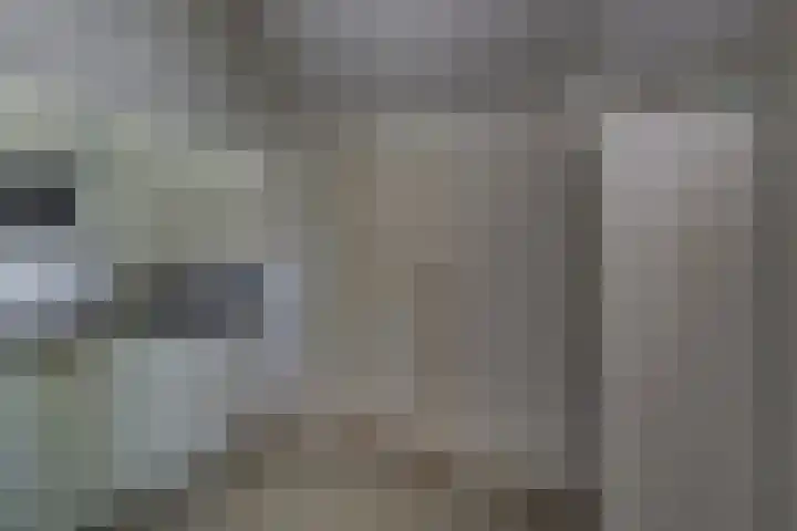 Winkelkamp 21 Dalfsen thumbnail 19
