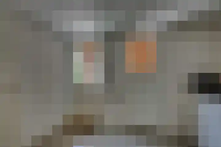 Winkelkamp 21 Dalfsen thumbnail 20