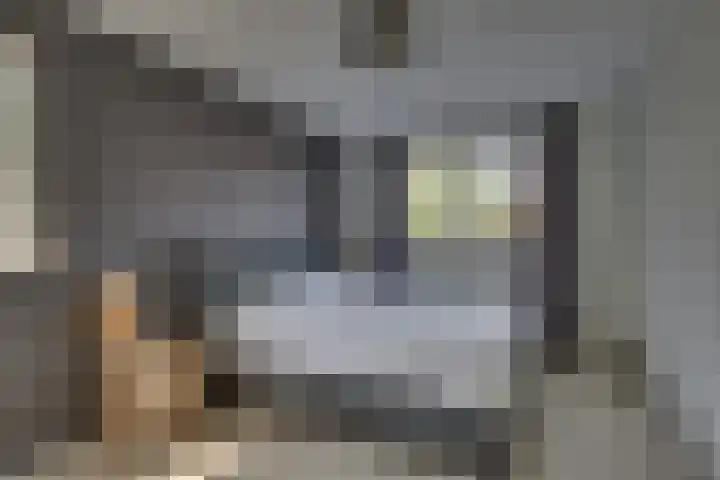 Winkelkamp 21 Dalfsen thumbnail 22