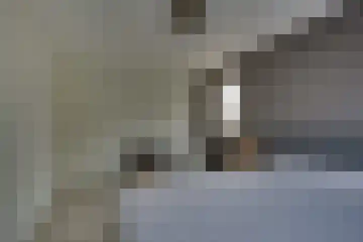 Winkelkamp 21 Dalfsen thumbnail 23