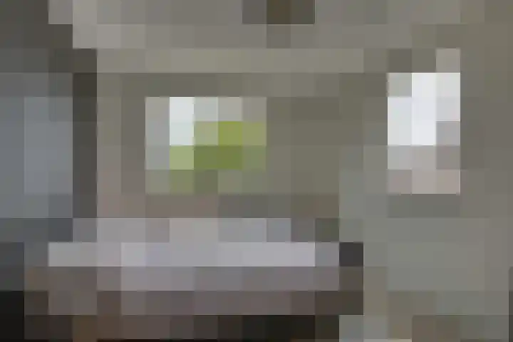 Winkelkamp 21 Dalfsen thumbnail 24