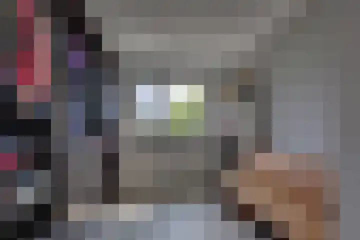 Winkelkamp 21 Dalfsen thumbnail 26