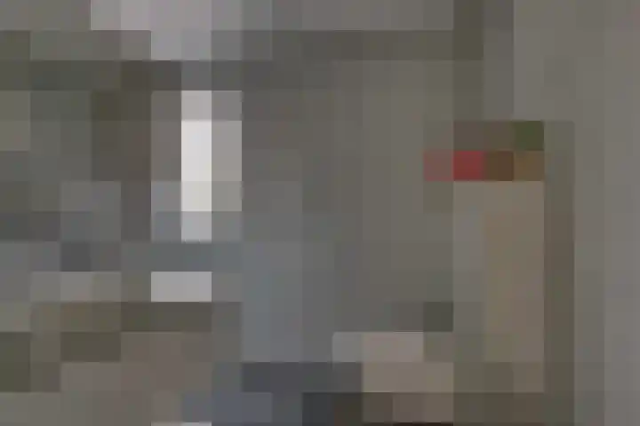 Winkelkamp 21 Dalfsen thumbnail 28