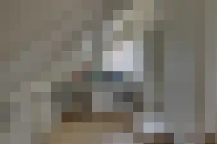 Winkelkamp 21 Dalfsen thumbnail 30