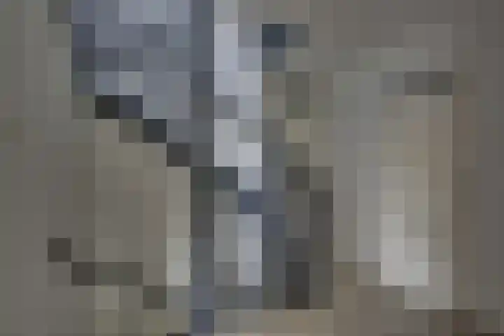 Winkelkamp 21 Dalfsen thumbnail 31