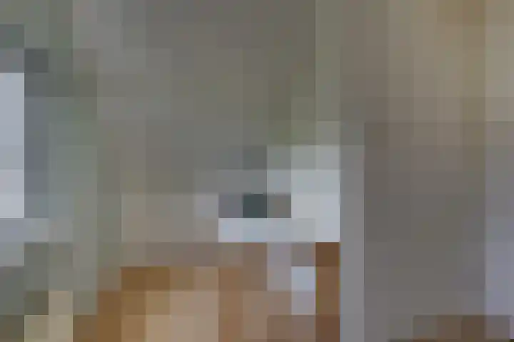 Winkelkamp 21 Dalfsen thumbnail 35