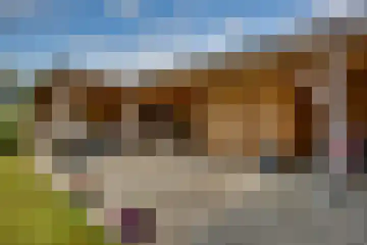 Winkelkamp 21 Dalfsen thumbnail 37