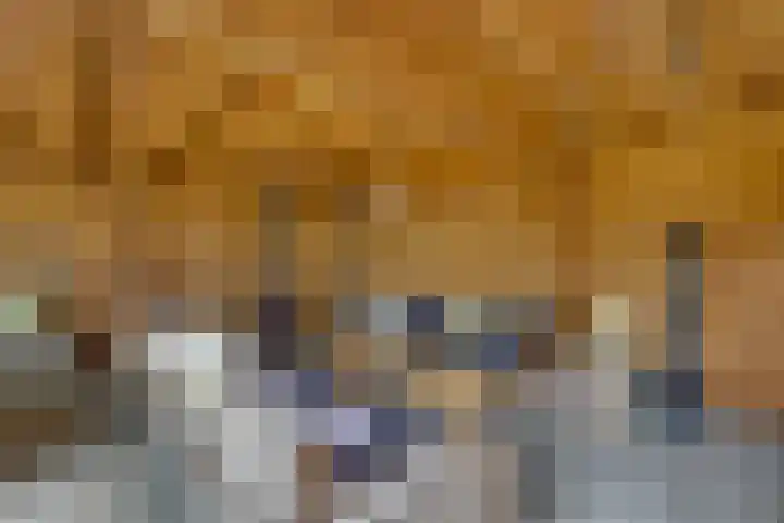Winkelkamp 21 Dalfsen thumbnail 39