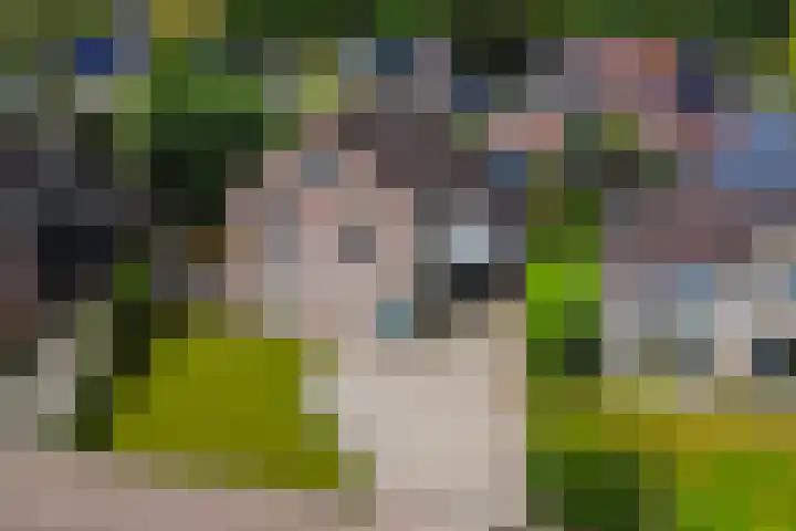 Winkelkamp 21 Dalfsen thumbnail 4