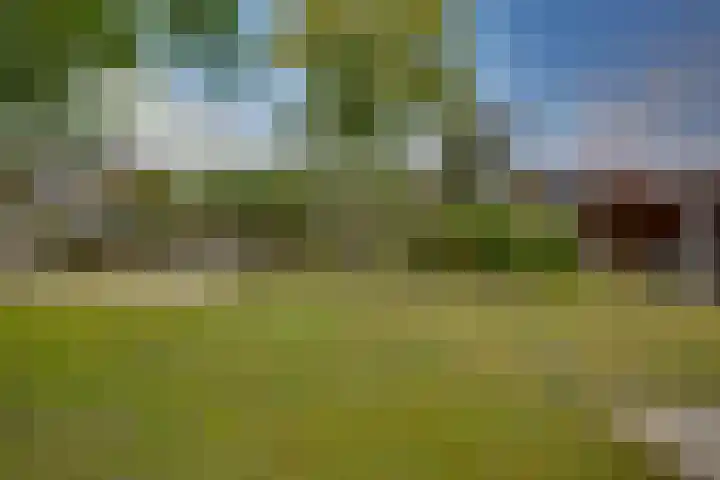 Winkelkamp 21 Dalfsen thumbnail 41